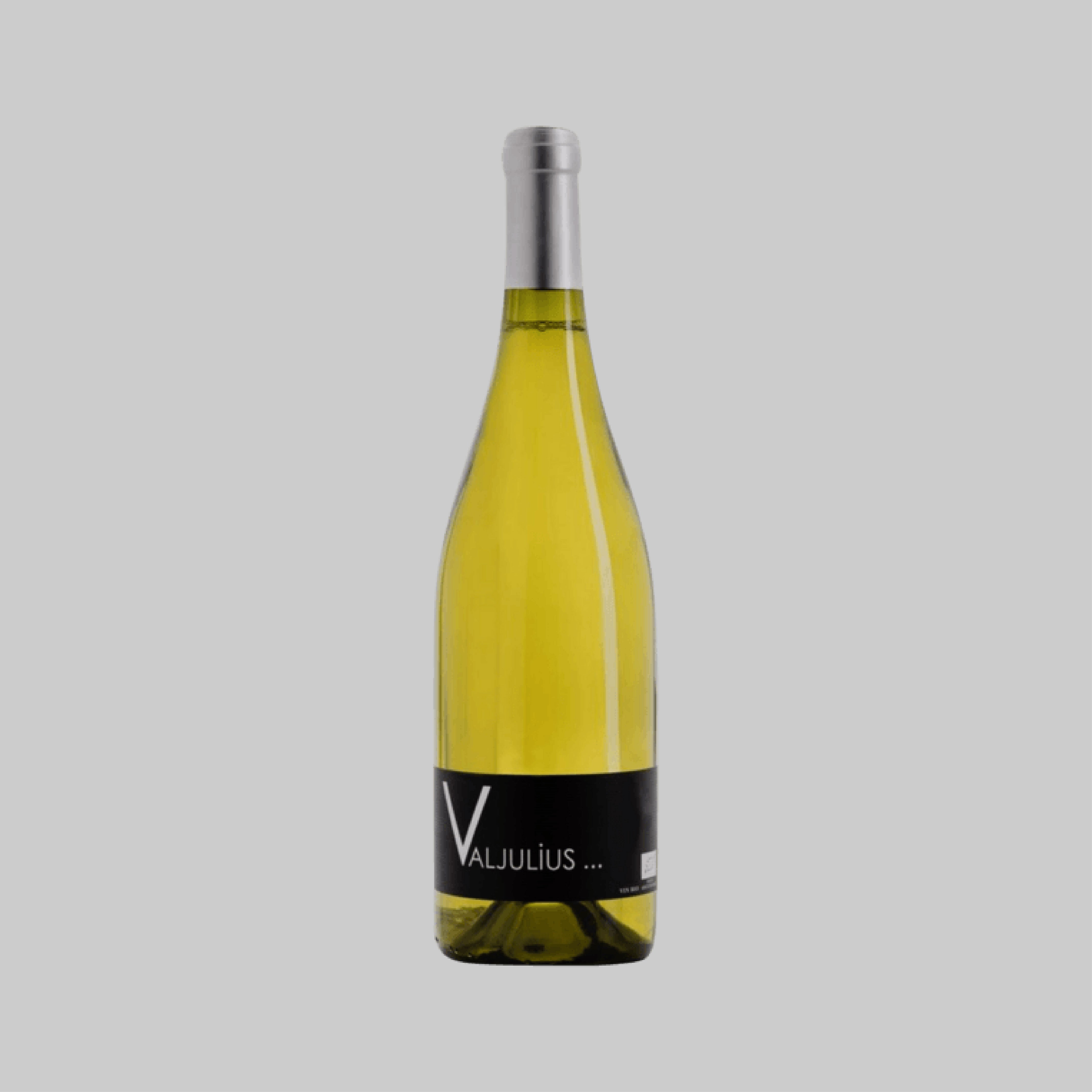 Domaine Valjulius Signature Blanc Grenache Blanc–Rolle–Chardonnay Coteaux de Béziers IGP 2022 750ml 13.0% | Time2Drink